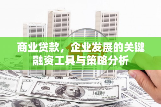 庄浪商业贷款，企业发展的关键融资工具与策略分析