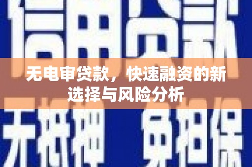 庄浪无电审贷款，快速融资的新选择与风险分析