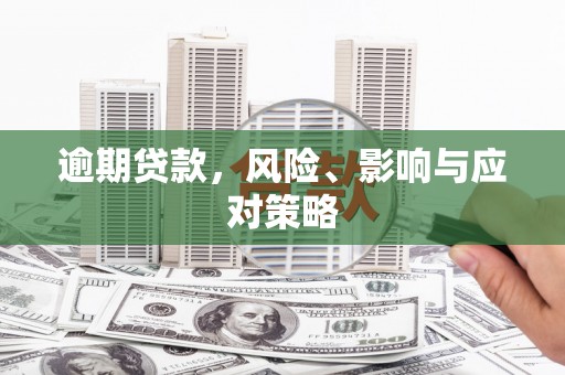 庄浪逾期贷款，风险、影响与应对策略