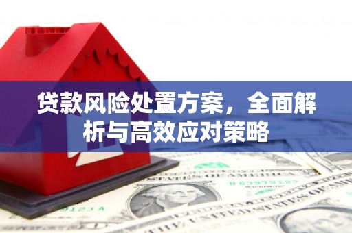 庄浪贷款风险处置方案，全面解析与高效应对策略