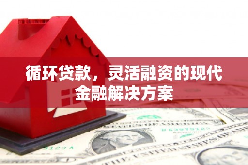 庄浪循环贷款，灵活融资的现代金融解决方案