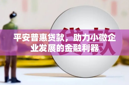 庄浪平安普惠贷款，助力小微企业发展的金融利器