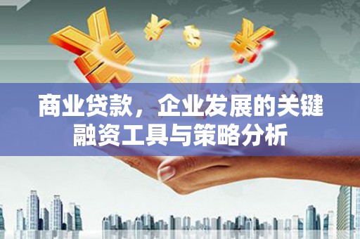 庄浪商业贷款，企业发展的关键融资工具与策略分析