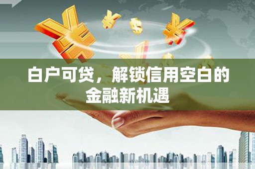 庄浪白户可贷，解锁信用空白的金融新机遇