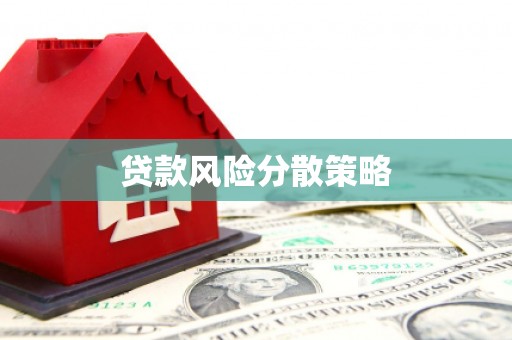庄浪贷款风险分散策略