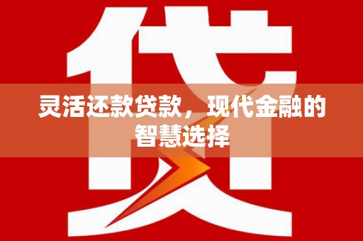 庄浪灵活还款贷款，现代金融的智慧选择