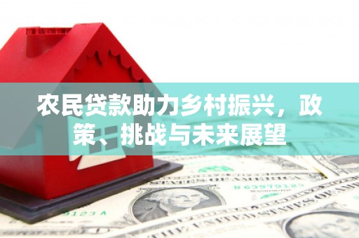 庄浪农民贷款助力乡村振兴，政策、挑战与未来展望