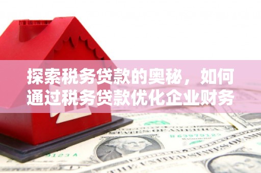 庄浪探索税务贷款的奥秘，如何通过税务贷款优化企业财务