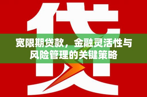 庄浪宽限期贷款，金融灵活性与风险管理的关键策略