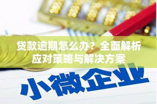 庄浪贷款逾期怎么办？全面解析应对策略与解决方案