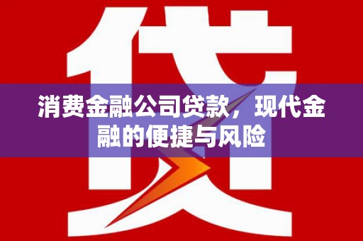 庄浪消费金融公司贷款，现代金融的便捷与风险