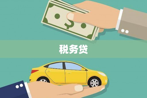 庄浪税务贷