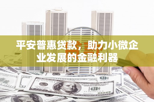 庄浪平安普惠贷款，助力小微企业发展的金融利器