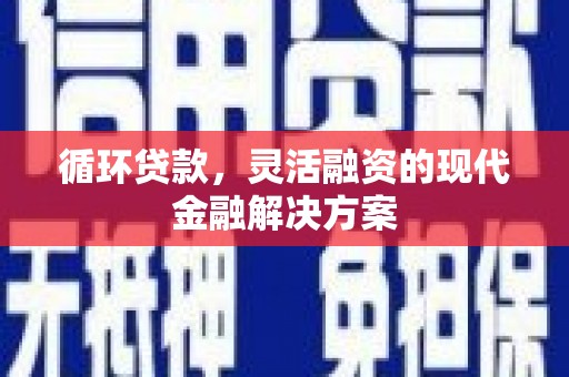 庄浪循环贷款，灵活融资的现代金融解决方案