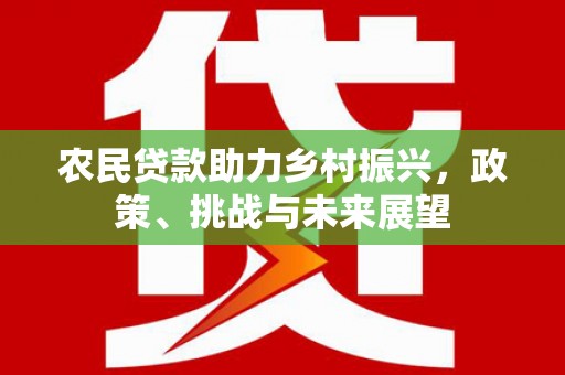 庄浪农民贷款助力乡村振兴，政策、挑战与未来展望