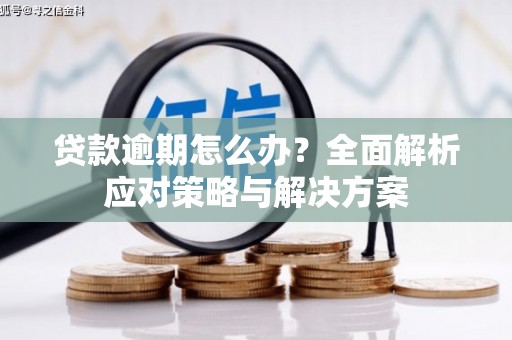庄浪贷款逾期怎么办？全面解析应对策略与解决方案