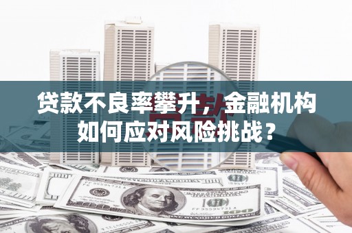 庄浪贷款不良率攀升，金融机构如何应对风险挑战？
