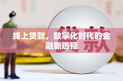 庄浪线上贷款，数字化时代的金融新选择
