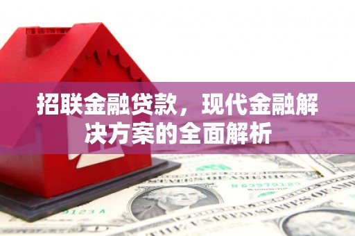 庄浪招联金融贷款，现代金融解决方案的全面解析