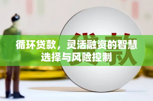 庄浪循环贷款，灵活融资的智慧选择与风险控制
