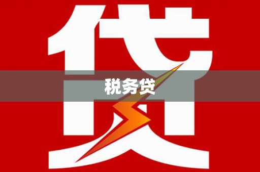 庄浪税务贷