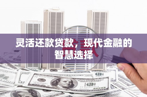 庄浪灵活还款贷款，现代金融的智慧选择