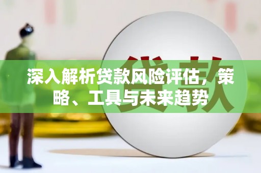 庄浪深入解析贷款风险评估，策略、工具与未来趋势