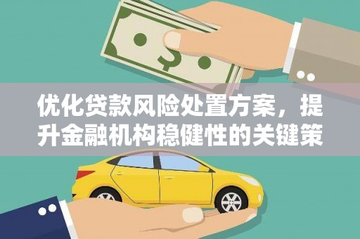 庄浪优化贷款风险处置方案，提升金融机构稳健性的关键策略