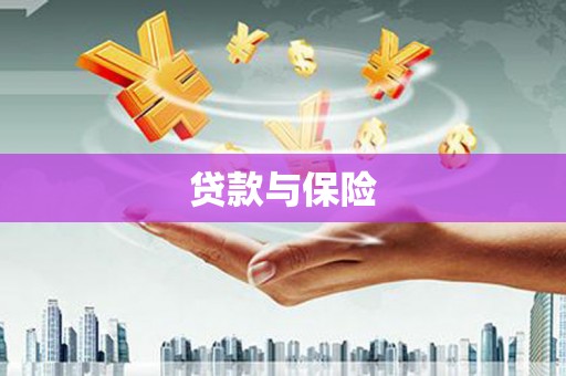 庄浪贷款与保险