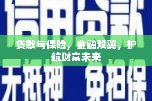 庄浪贷款与保险，金融双翼，护航财富未来