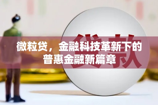 庄浪微粒贷，金融科技革新下的普惠金融新篇章