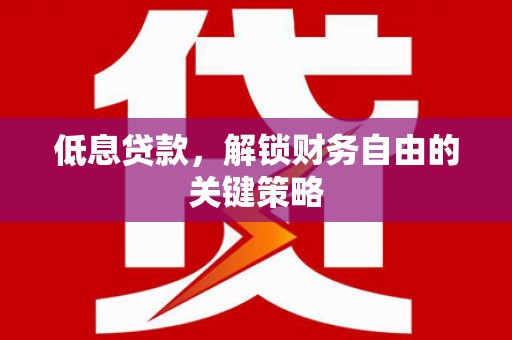 庄浪低息贷款，解锁财务自由的关键策略