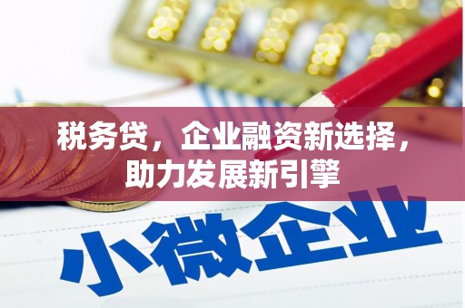 庄浪税务贷，企业融资新选择，助力发展新引擎