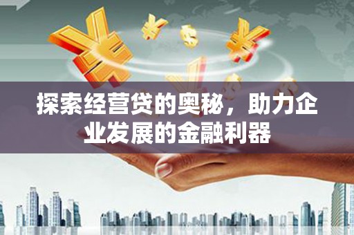 庄浪探索经营贷的奥秘，助力企业发展的金融利器