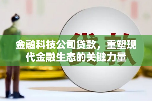 庄浪金融科技公司贷款，重塑现代金融生态的关键力量
