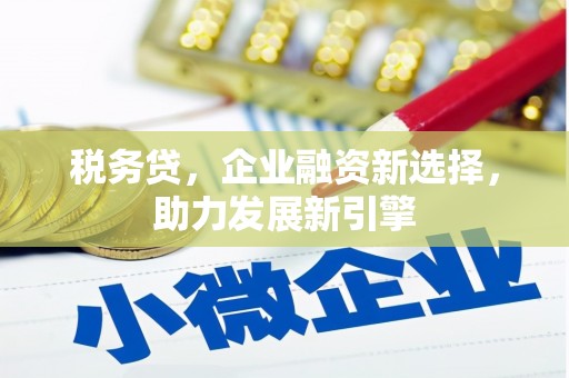 庄浪税务贷，企业融资新选择，助力发展新引擎