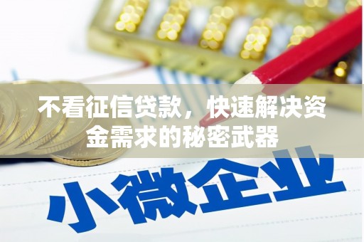 庄浪不看征信贷款，快速解决资金需求的秘密武器