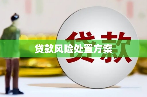 庄浪贷款风险处置方案