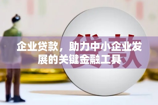 庄浪企业贷款，助力中小企业发展的关键金融工具