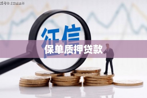 庄浪保单质押贷款