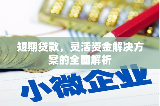 庄浪短期贷款，灵活资金解决方案的全面解析