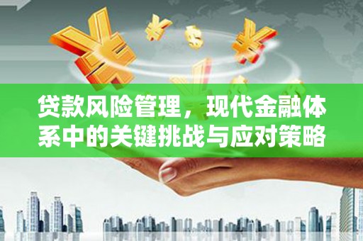 庄浪贷款风险管理，现代金融体系中的关键挑战与应对策略
