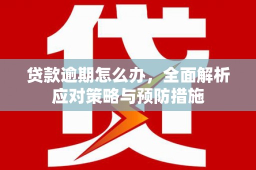 庄浪贷款逾期怎么办，全面解析应对策略与预防措施
