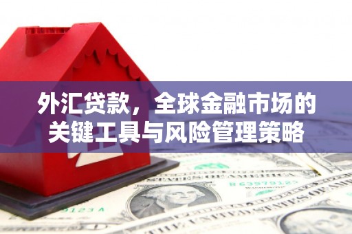 庄浪外汇贷款，全球金融市场的关键工具与风险管理策略