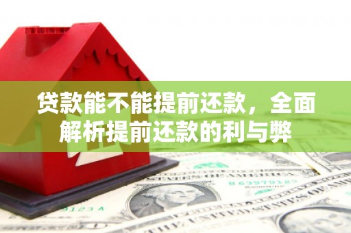 庄浪贷款能不能提前还款，全面解析提前还款的利与弊