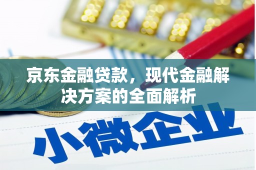 庄浪京东金融贷款，现代金融解决方案的全面解析