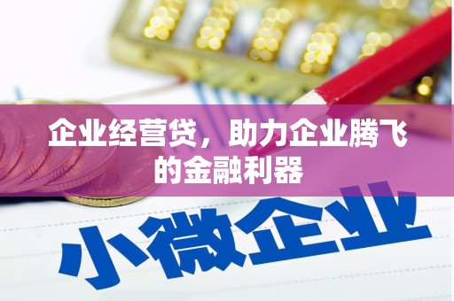 庄浪企业经营贷，助力企业腾飞的金融利器