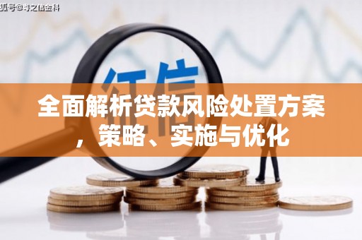庄浪全面解析贷款风险处置方案，策略、实施与优化
