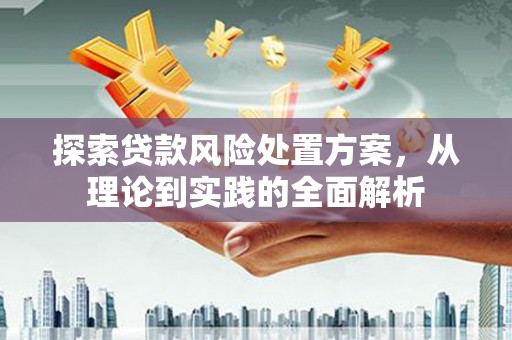 庄浪探索贷款风险处置方案，从理论到实践的全面解析