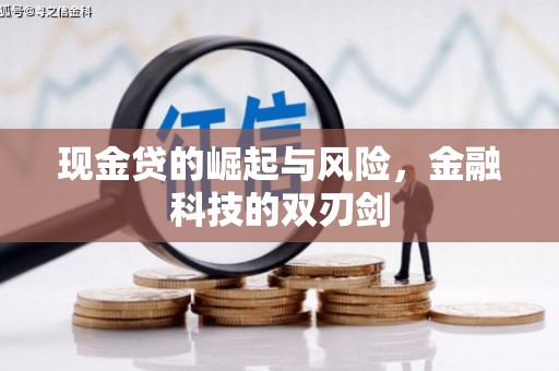 庄浪现金贷的崛起与风险，金融科技的双刃剑